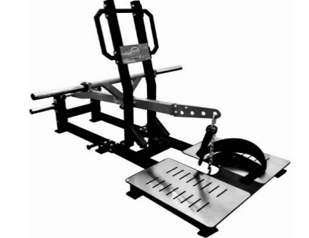 Belt Squat